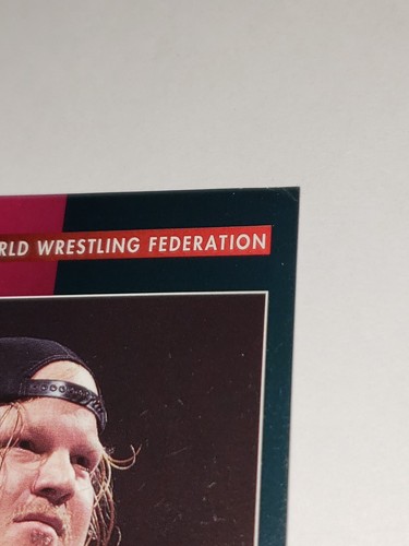 1995 WWE/WWF Magazine Inserto #57 Ruota Radford Wrestling Card Danneggiata Read Desc - Foto 5 di 13