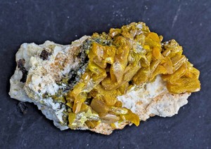 Wulfenite-Mezica-Slovenia-Rich-small-cabinet-specimen