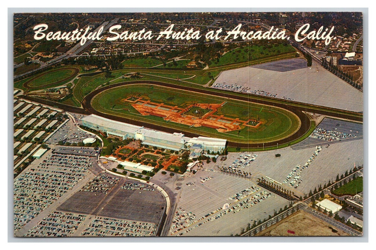 Santa Anita Adidas Santa Rosa La Pampa Vintage 1960's Postcard