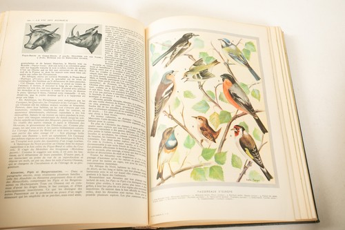 La Vie Des Animaux Leon Bertin (UH1/JSF6) Land & Ocean Larousse Paris Vol 1 & 2 - Picture 11 of 24