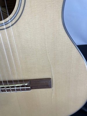 Fair Fender CN-60S Classical Guitar, Solid Spruce Top