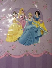 Disney Princess Photo Album 4'' x 6'' Slip In Photograph Album Holds 36 Photos