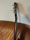 Picture 12 of 23