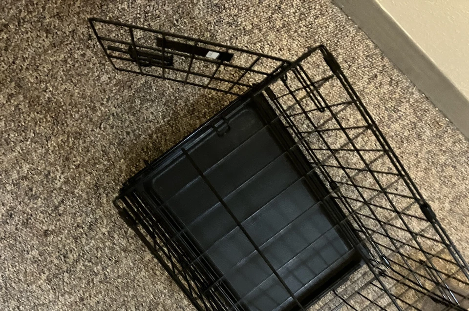New MidWest iCrate Fold & Carry Single Door Collapsible Dog Crate, 18x12x14 - Image 4 of 4