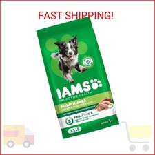 IAMS Proactive Health Adult Minichunks Dry Dog Food Chicken  Whole Grain Recipe