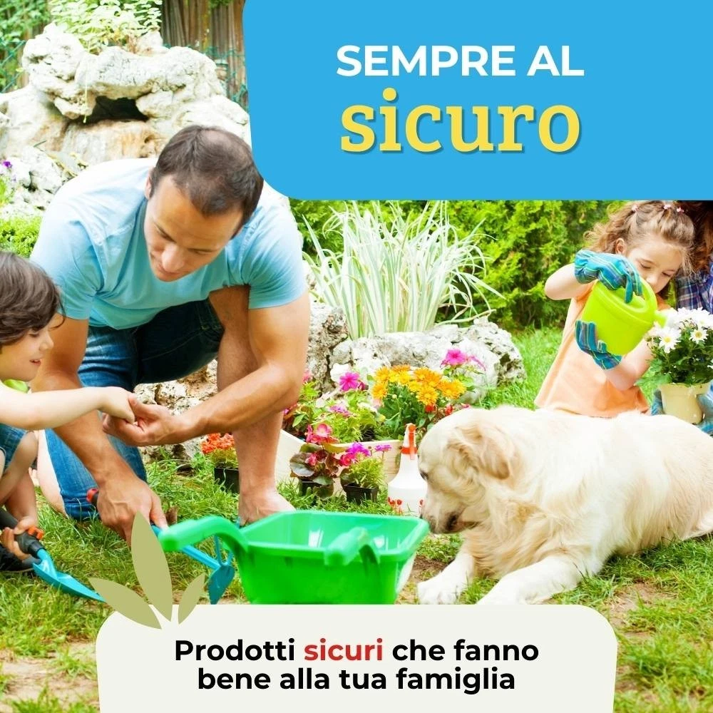 Foto 10 di 10