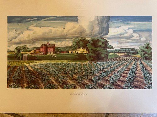 Knee-High In July Titled Artwork Unframed - Picture 1 of 2