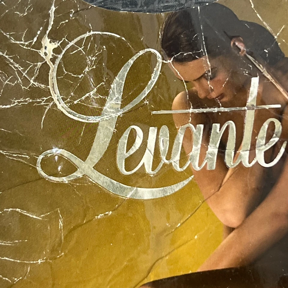 Pantimedias Levante Lia Nylon Clásicas Transparentes 10 Denier Talla X Alto Foto 3 de 4