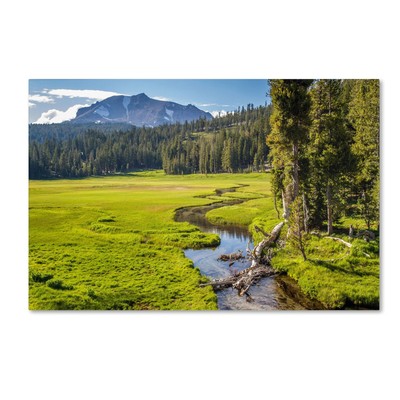 Lassen Meadow Artwork by Pierre Leclerc, 22 by 32-Inch