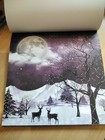 Bild 5 von 6