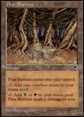 1x Pine Barrens MTG - Tempest - Heavy Play