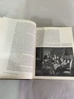 Foto 14 di 24