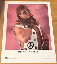 Vintage Original 1994 P-212 WWF Shawn Michaels 8x10 Promo Photo HBK WWE NXT AWA