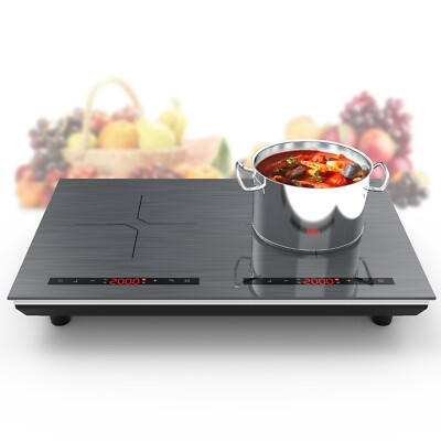 #ad Electric Cooktop Induction Cooktop 2 Burner Induction Cooker Touch Screen 110V $131.59