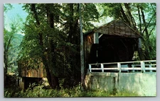 Whittier Ossipee Bear Camp New Hampshire NH 60s Vintage Postcard