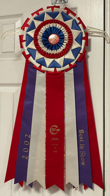 VINTAGE AMERICAN KENNEL CLUB AKC BEST IN SHOW RIBBON ROSETTE 28 '' GREELEY CO.