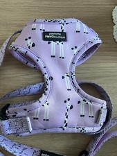 Pawsome Boutique Georgina the Giraffe Harness and Collar XS