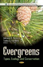 Evergreens by Adriano D Bezerra: New