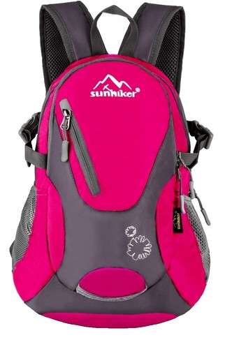 Cotopaxi Allpa Mini 20L Travel Pack Hot Pink Backpack | eBay