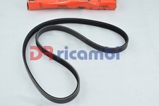 Courroie de distribution Alfa Romeo 164