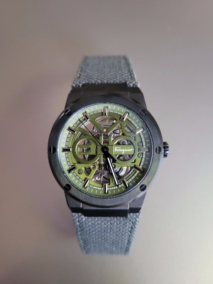 Salvatore Ferragamo F-80 Automatic Limited Edition Skeleton Green; Rare PVD  Case