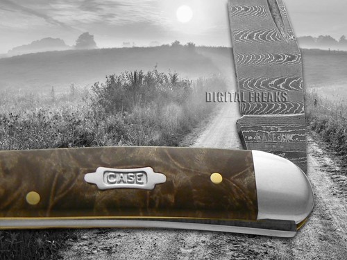 Case xx Medium Toothpick Damascus Steel Natural Maple Burl 15093 Pocket Knife - Picture 4 of 4