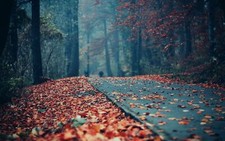 Landscape fall leaves street road forest Custom Gaming Mat Desk
