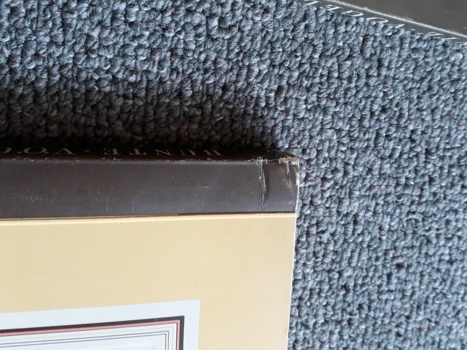 Bild 6 von 12