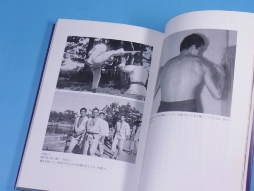 Hideyuki Ashihara Last book karate sabaki Martial arts Japanese language - Picture 12 of 13