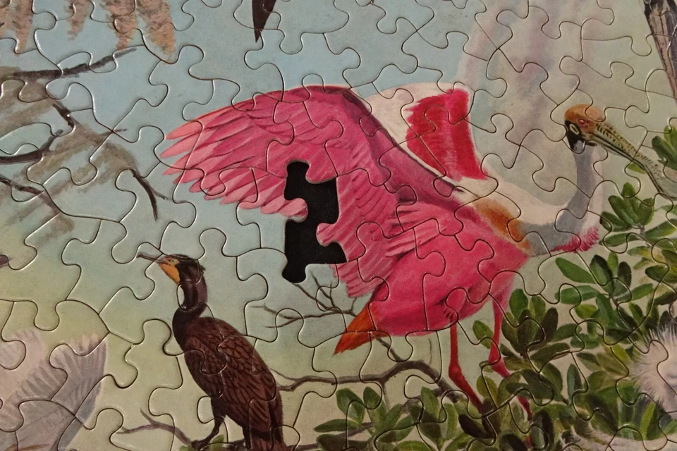 Vtg 1965 Springbok Circular Puzzle "Water Birds" by Arthur Singer / PZL C912 - Image 4 of 4
