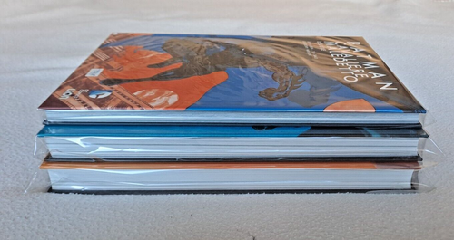DC Deluxe Lion Batman Lungo Halloween Cavaliere Maledetto Vittoria Oscura NUOVI! - Foto 7 di 7