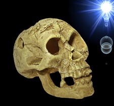 TOP Aquarium Deko 🐠 Totenkopf 🐠 Totenschädel Terrarium Zubehör Höhle Skull