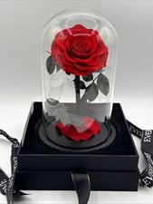 Elegant Preserved Rose in Glass Dome by The Only Roses. The Art of Everlasting.