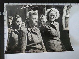 Original Press Photo Bergen Belsen Liberation 1945 British Army WWII LAPI Paris