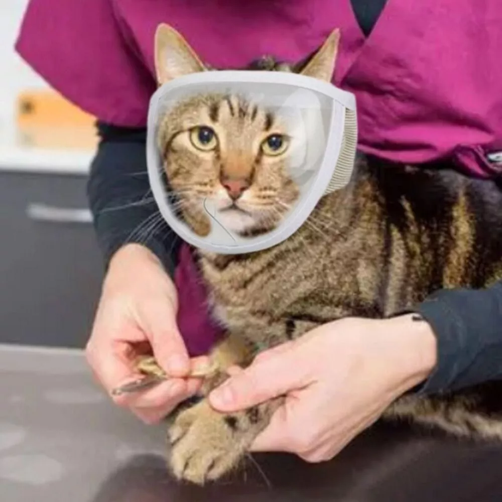 Cat muzzle for grooming top