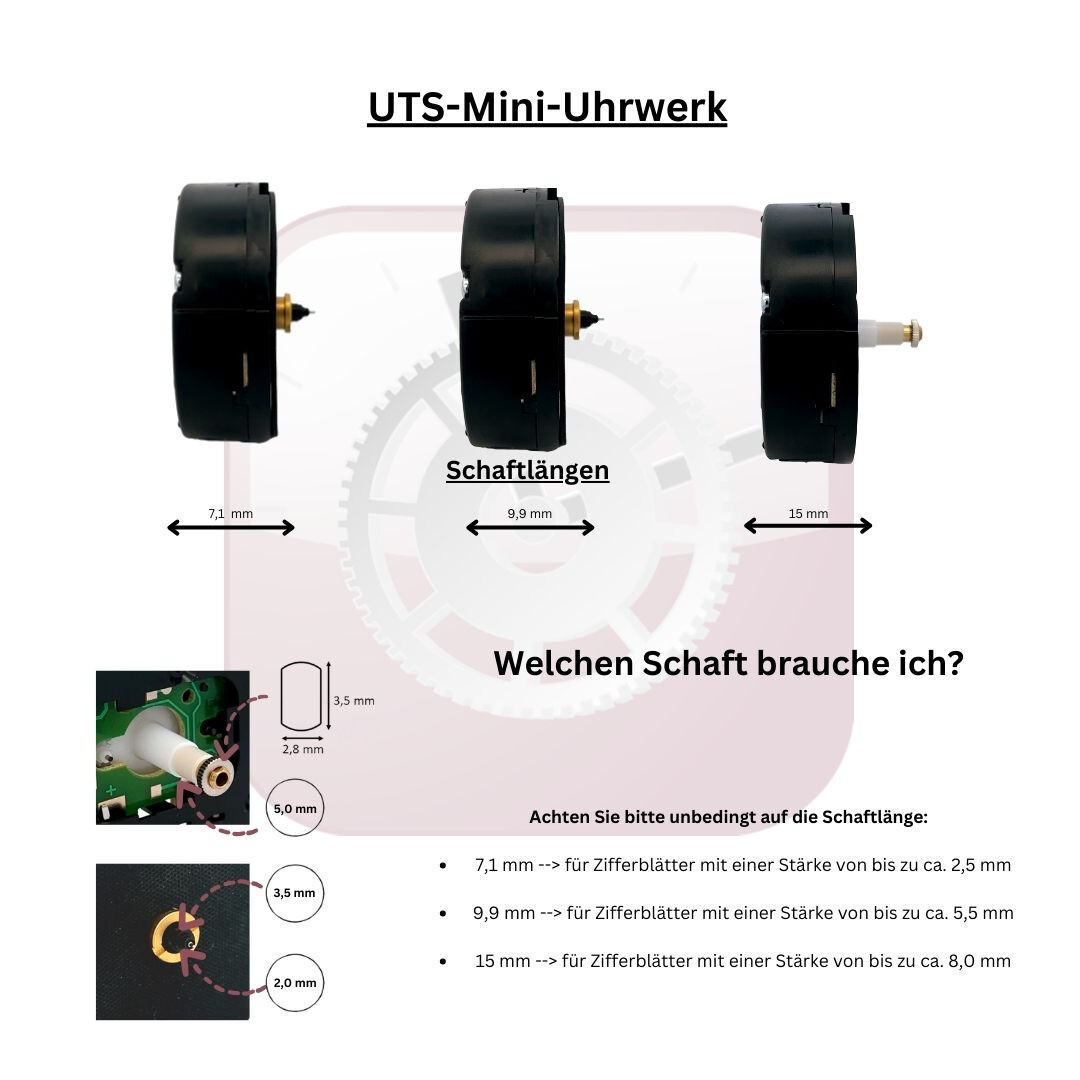 Bild 4 von 8
