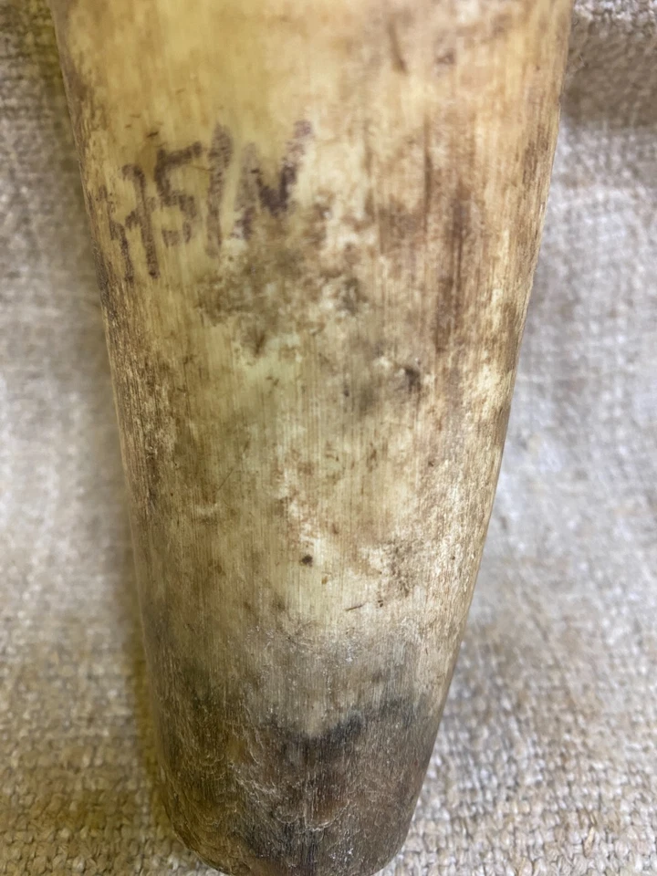 Antique vintage cow horn whetstone grinding stone case made in Slovakia - Image 4 of 4