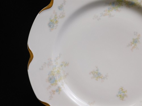 7 HAVILAND LIMOGES France Blue Floral Gold Daubs SCHLEIGER 456B 9.5" Plates - Picture 20 of 21