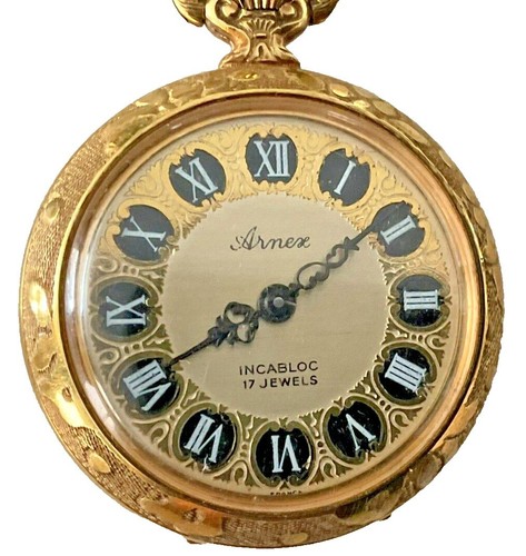 Vintage 1950's Arnex Belle Suisse 17 Jewel Incabloc Silver Hunter