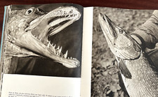 bildgewaltiges Angelbuch Sláva Štochl - Petri Heil! von 1954 Angeln, Fischen 