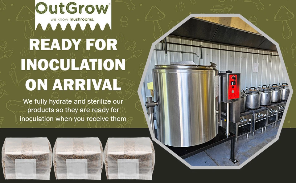 Bolsas de desove de grano de bayas de centeno esterilizadas | Paquete de 6 bolsas de una libra | Out Grow Foto 2 de 4