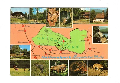 AK Ansichtskarte Nationalpark Bayerischer Wald