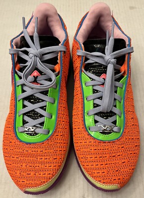 LEBRON 20 チョーズン1 26cm Nike Lebron 20 
