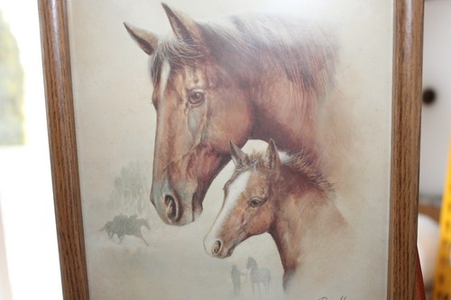 Ruane Manning 3 Framed Vintage Horse Art Prints Litho 8 x 10 Donald Art Co 1987 - Picture 8 of 11