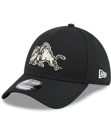 Men's New Era Colorado Buffaloes Ralphie 39THIRTY Flex Hat L / XL Buffs SOLD OUT
