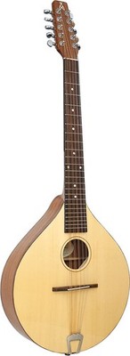 Ashbury Style E CELTIC CITTERN, massive Fichtendecke & Sapele Korpus. Britisches Design.