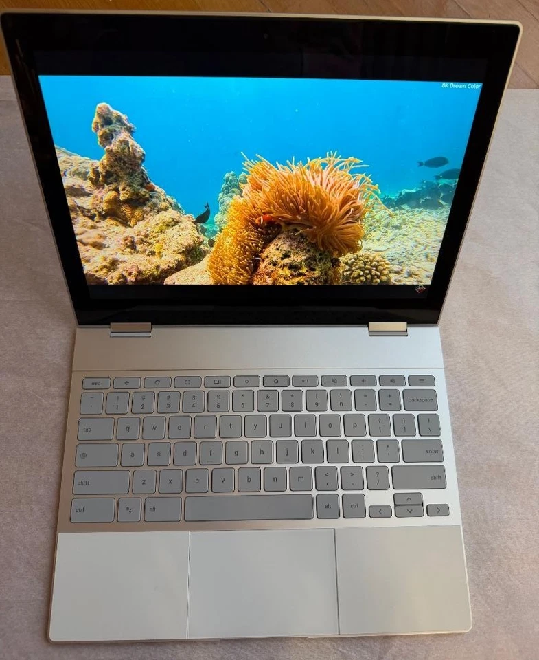 "UNO EN MIL MILLONES" Google GA00124-US Pixelbook Maxed i-7 16 AM 512 SSD BATT@98% Foto 3 de 4
