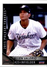 2015 Pulaski Yankees Choice 29 Allen Valerio Dominican Republic DR Baseball Card