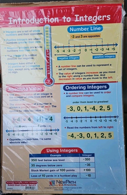 NewPath Integers, Rational & Real Numbers Bulletin Board Charts MATH Set / 6 NEW