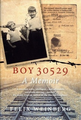 Boy 30529